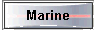 Marine 